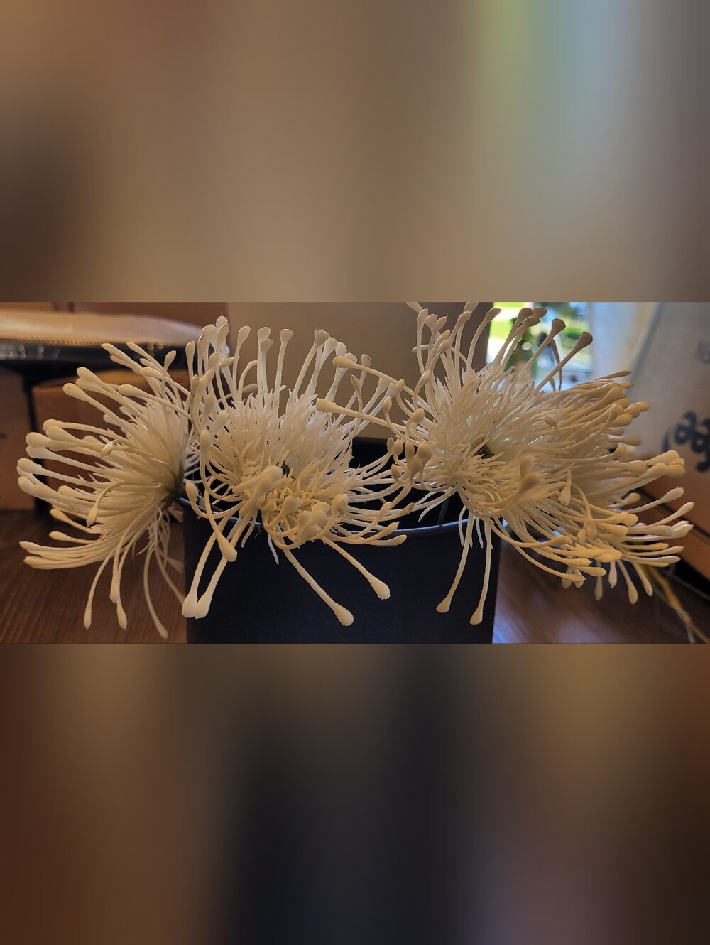Artificial White Pincushion Protea Flowers